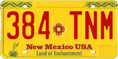 NM license plate 384TNM