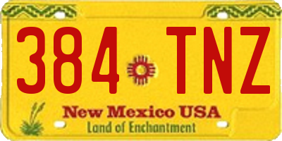 NM license plate 384TNZ