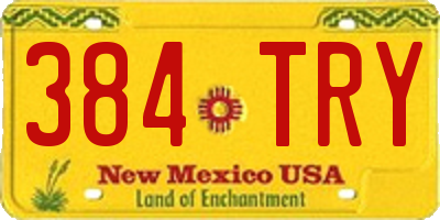 NM license plate 384TRY