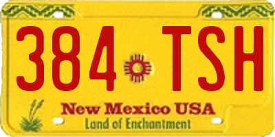 NM license plate 384TSH