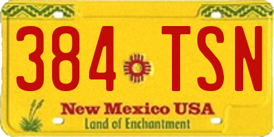 NM license plate 384TSN