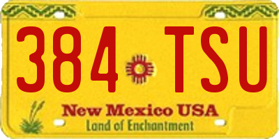 NM license plate 384TSU