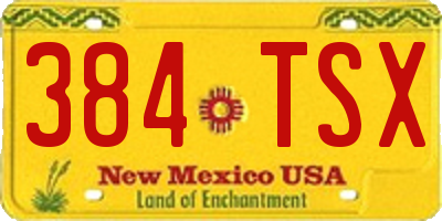 NM license plate 384TSX