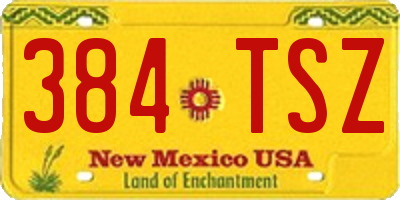 NM license plate 384TSZ