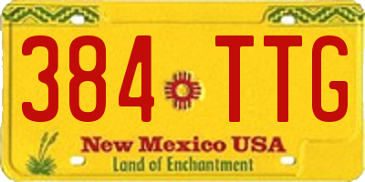NM license plate 384TTG