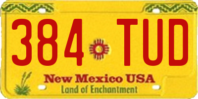 NM license plate 384TUD