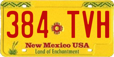 NM license plate 384TVH