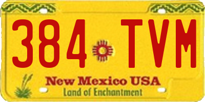 NM license plate 384TVM