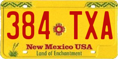NM license plate 384TXA