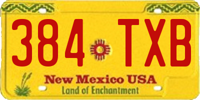 NM license plate 384TXB