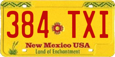 NM license plate 384TXI