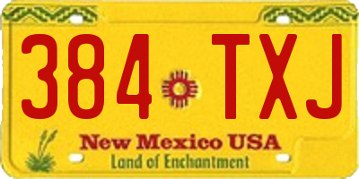 NM license plate 384TXJ