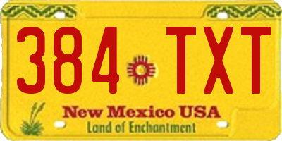 NM license plate 384TXT