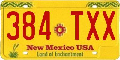 NM license plate 384TXX