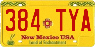 NM license plate 384TYA