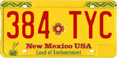 NM license plate 384TYC