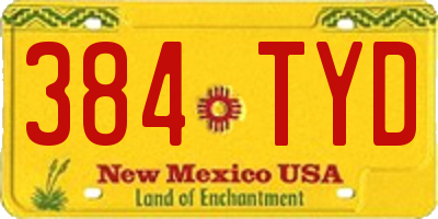 NM license plate 384TYD