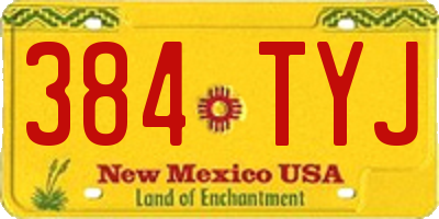 NM license plate 384TYJ