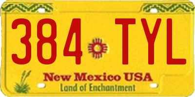 NM license plate 384TYL