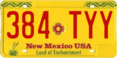 NM license plate 384TYY