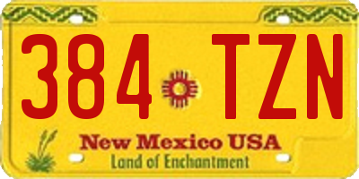 NM license plate 384TZN