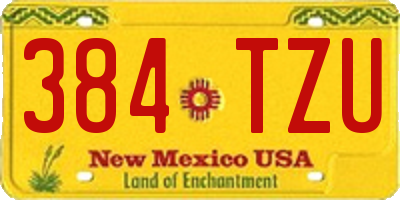 NM license plate 384TZU