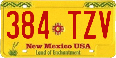 NM license plate 384TZV