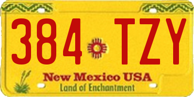 NM license plate 384TZY