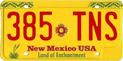 NM license plate 385TNS