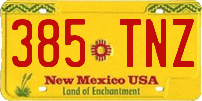NM license plate 385TNZ
