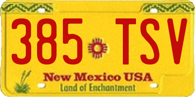 NM license plate 385TSV