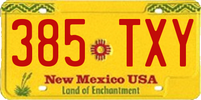 NM license plate 385TXY