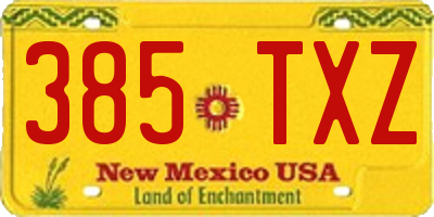 NM license plate 385TXZ