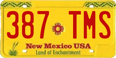 NM license plate 387TMS