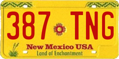 NM license plate 387TNG