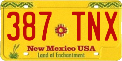 NM license plate 387TNX