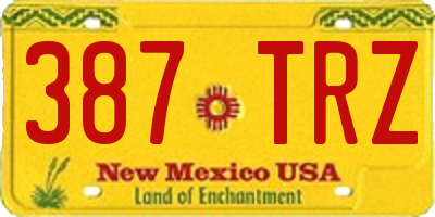 NM license plate 387TRZ