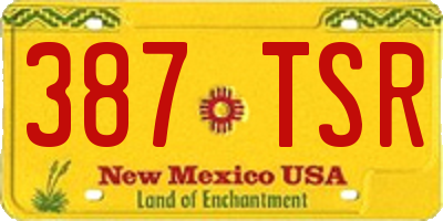 NM license plate 387TSR