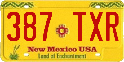 NM license plate 387TXR