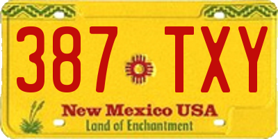 NM license plate 387TXY
