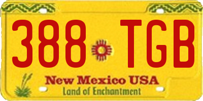 NM license plate 388TGB