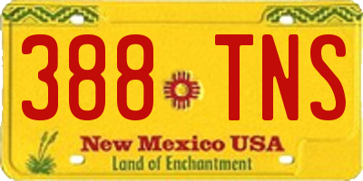 NM license plate 388TNS