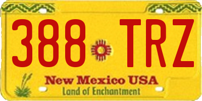NM license plate 388TRZ