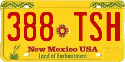 NM license plate 388TSH