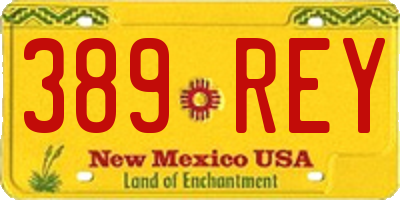 NM license plate 389REY