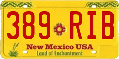 NM license plate 389RIB