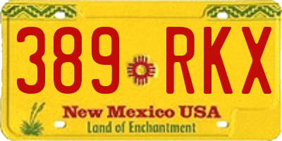 NM license plate 389RKX