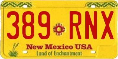 NM license plate 389RNX
