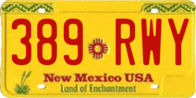 NM license plate 389RWY