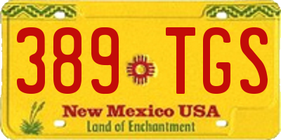 NM license plate 389TGS